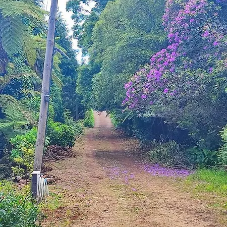 Quinta Meneses * Santa Cruz (Madeira)